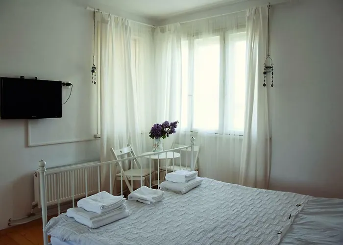 онгъл юг Pensiune 3*