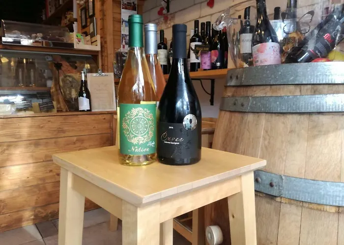 Pensiune онгъл юг Kŭrpachevo